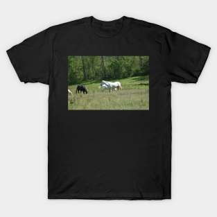 Wild Horse Herd T-Shirt